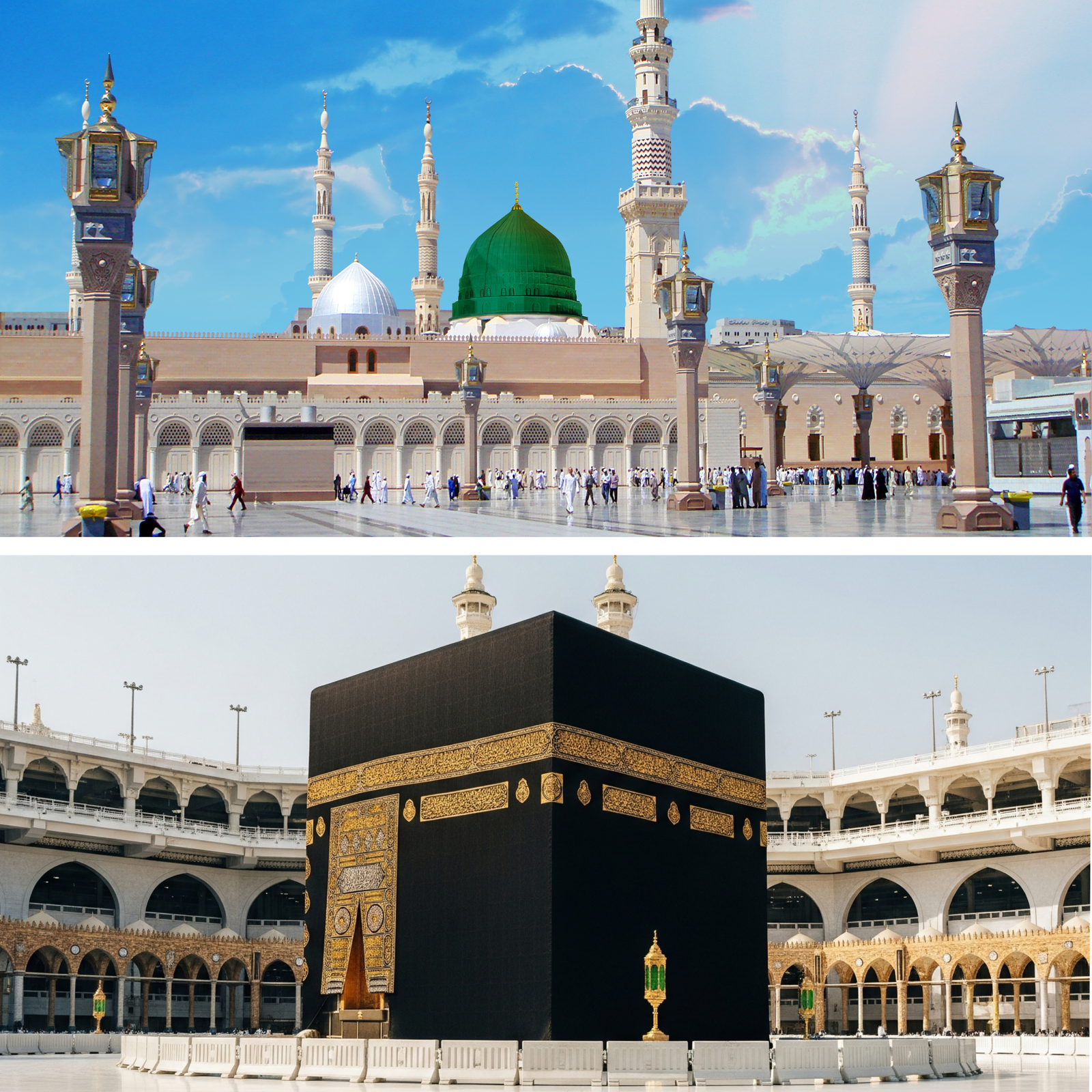 المدينة ↔ مكة